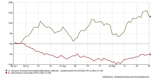 Dynamic Commodities